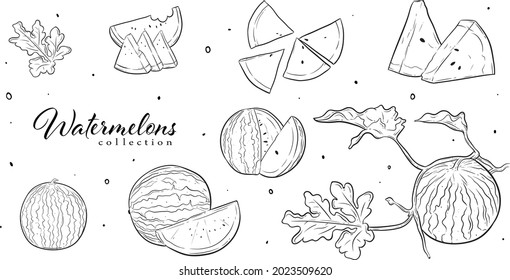 fruits, vector graphic element. line art style. best for pattern design, graphic element, branding element, packaging element, wallpaper, decoration, greeting cards, icon