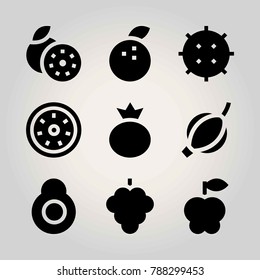 Fruits vector icon set. apple, lychee, groseberry and tangerine