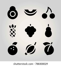 Fruits vector icon set. apricot, avocado, quince and cherry