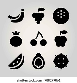 Fruits vector icon set. coconut, grape, fig and berry