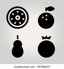 Fruits vector icon set. kiwi, quince, pomegranate and orange