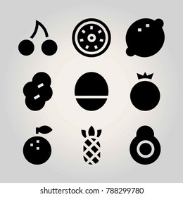 Fruits vector icon set. pomegranate, avocado, cherry and lemon