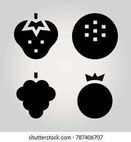 Fruits vector icon set. raspberry, pomegranate, coconut and strawberry