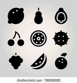 Fruits vector icon set. tangerine, watermelon, quince and kiwi
