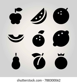 Fruits vector icon set. watermelon, apple, pomegranate and melon