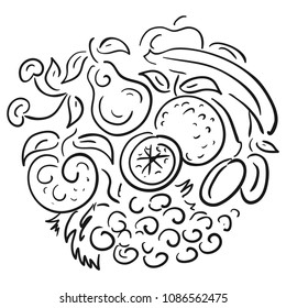 Fruits. Vector illustration