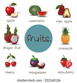 fruits vector illustration