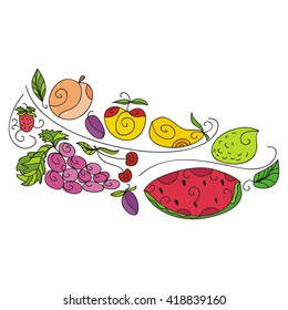 Fruits vector illustration