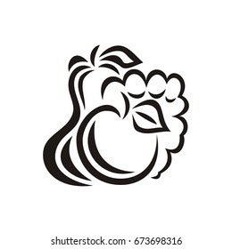 Fruits. Vector illustration.
