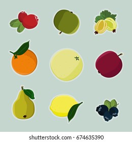 Fruits - vector illustration