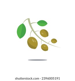 fruits vector illustration design template