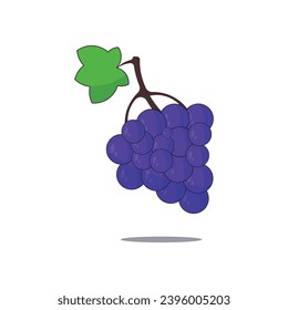 fruits vector illustration design template