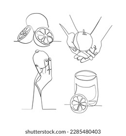 Fruits vector illustration drawn in line art style
