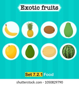 Fruits vector illustration, exotic fruit flat design concept with mango, banana, pineapple, kiwi, papaya, avocado, cantaloupe melon and watermelon.