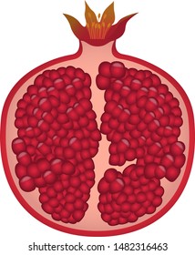 
Fruits. Vector illustration.Half a pomegranate.
