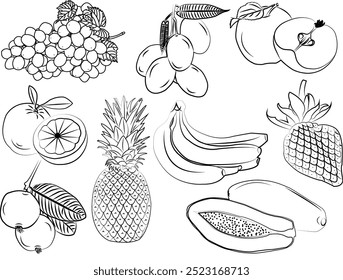 Fruits vetor linha Art Design. Frutas definidas em ícones brancos.