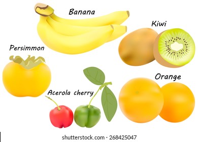 Fruits vector set