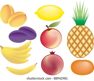 fruits vector set