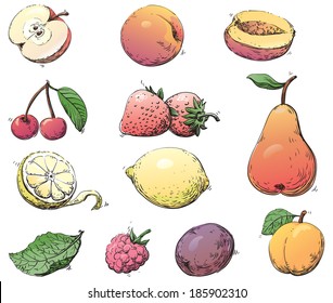 Fruits. Vector set of fruits at color engraving style