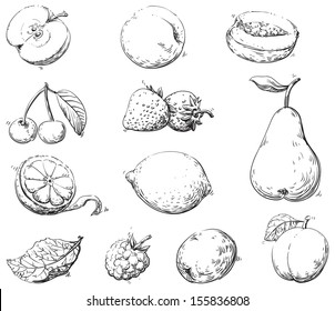 Fruits. Vector set of fruits at engraving style 