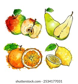 Fruits vector set hand drawn sketch watercolor illustration on white background.