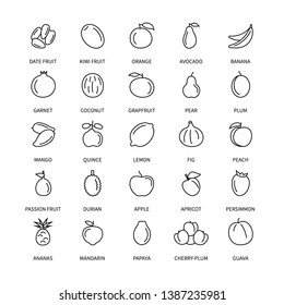 Fruits vegan linear icons business analysis vector set design elements vegetables fresh healthy food vector  line icons money commerce logistics search investor vector symbols set