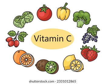 Fruits and vegetable foods containing vitamin C diagram schematic vector illustration. Medical science educational illustration