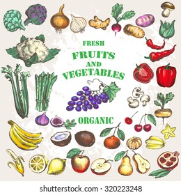 Fruits and vegetable set. Hand drawing.