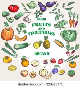 Fruits and vegetable set. Hand-drawn illustration, vector-colored, easily editable.