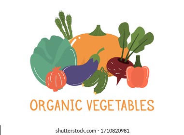 Fruits and vegetables banner vector illustration. Hand drawn organic vecetarian healthy food. Fresh natural market nutrition. Shopping grocery vegetable and fruit. Summer harvesting organic farm.