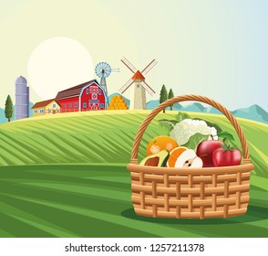Fruits and vegetables in basket