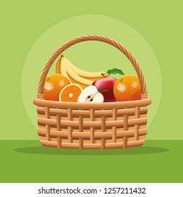 Fruits and vegetables in basket