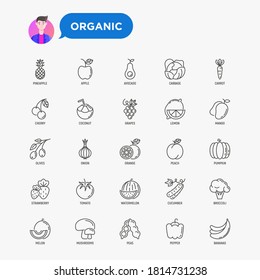 Fruits, vegetables, berries and nuts thin line icons set: pineapple, apple, avocado, cabbage, carrot, cherry, coconut, grapes, tomato, broccoli. Vector illustration.