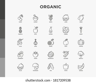 Fruits, vegetables, berries and nuts thin line icons set: pineapple, apple, avocado, cabbage, carrot, cherry, coconut, grapes, tomato, broccoli. Vector illustration.