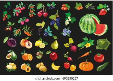 Fruits vegetables and berriesOrganic food icons vector illustration