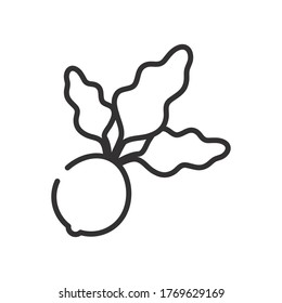 concepto de frutas y verduras, icono de remolacha sobre fondo blanco, estilo de línea, ilustración vectorial