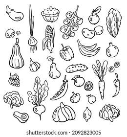 Fruits and vegetables doodle collection. Hand drawn vector illustration.
