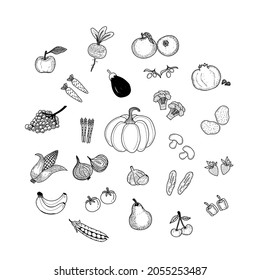 Fruits and vegetables doodle on a white background. Hand drawn set.