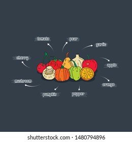 fruits and vegetables group. hand drawn fruits and vegetables. fruits, vegetables and names