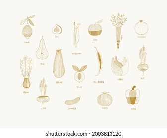 Fruits and vegetables in hand drawn ornament style lemon, pear, figs, mushrooms, apple, carrot, pomegranate, onion, eggplant, peach, chili pepper, fennel, beet, radish, cucumber, tomato, pepper drawin