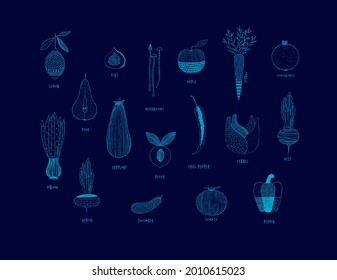 Fruits and vegetables in hand drawn ornament style lemon, pear, figs, mushrooms, apple, carrot, pomegranate, onion, eggplant, peach, chili pepper, fennel, beet, radish, cucumber, tomato, pepper drawin