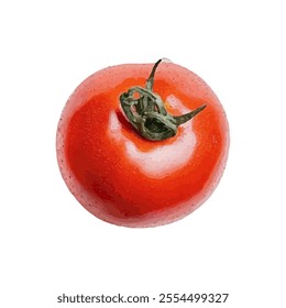 fruits vegetables isolated on white background