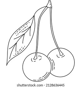 Fruits and vegetables line icons. Pack of signs in trendy style. Outline signs tropical food. Cherry