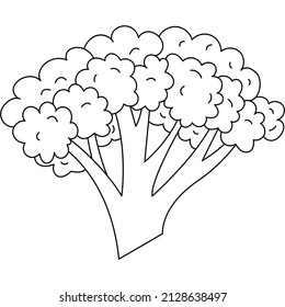 Fruits and vegetables line icons. Pack of signs in trendy style. Outline signs tropical food. Broccoli