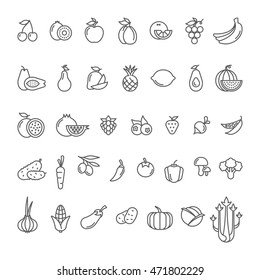 Fruits and vegetables linear icon,logo,emblem,sign collection.Corn,watermelon,apricot,lemon,mango,strawberry,berry,potato.Vegetarian,health,natural,organic food.Vector illustration.Isolated on white