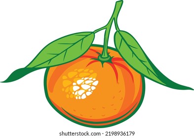 Fruits And Vegetables - mandarin with two leaves