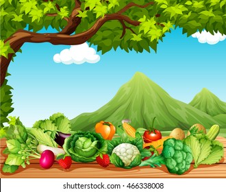 Obst und Gemüse auf dem Tisch - Illustration