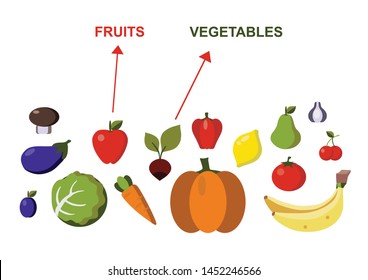 fruits and vegetables on a white background. Educational game for children. sections by groups