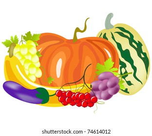Fruits and vegetables on white background