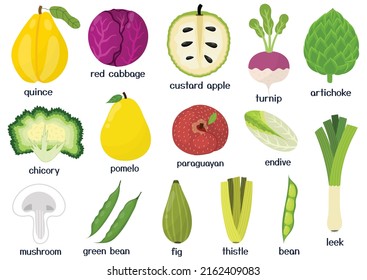 Fruits and vegetables set. Collection of healthy food isolated elements in cartoon style. Great for recipes, cookbook and vegan prints. Vector illustration